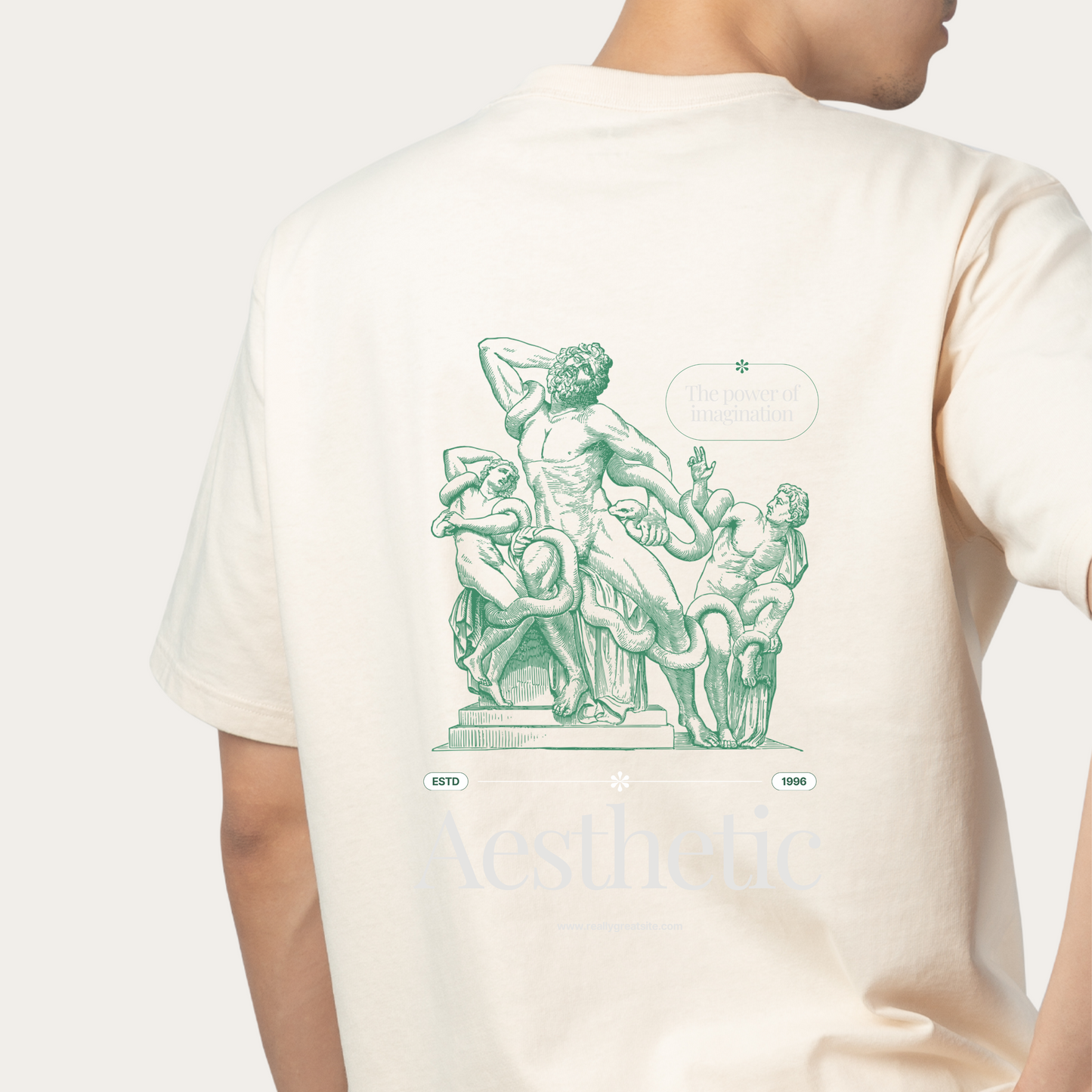 Beautiful Aesthetic Design Unisex Oversized Classic T-Shirt